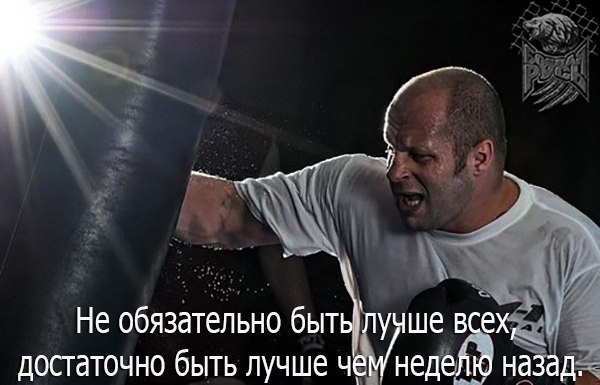   - 23  2016  09:56