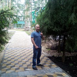 ���� �����, ������, 43 ���� - ��������� 29 ������� 2016