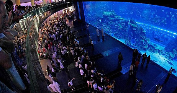     .1. The Georgia Aquarium, , . 2. The Okinawa Churaumi ... - 4