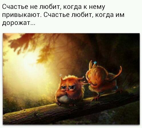   . . . - 2  2016  01:41