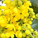 ���� �������, ������� - ��������� 5 ������ 2017 � ������ ������ 2017�