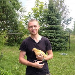 ���� Maks, ������� ��������, 40 ��� - ��������� 17 ������� 2016