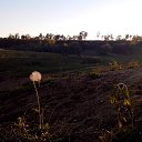 ���� ����, ���������, 67 ��� - ��������� 3 ������ 2016 � ������ ���� ����������