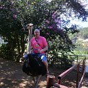 ���� ����������, �������� - ��������� 23 ������ 2016 � ������ ���� ����������