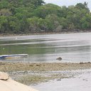    -  ,  -  7  2017    2014.  Zazen.  12-.