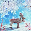  ,  , 60  -  10  2017   ollage* &amp; Different fantasies*