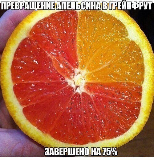   ....  ...))) - 5