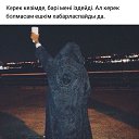 ���� �����, �����, 41 ��� - ��������� 12 ������� 2017 � ������ ������ ��������