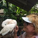 ���� ��������, ������ - ��������� 28 ������ 2017 � ������ �������..����� ��� 2017.�