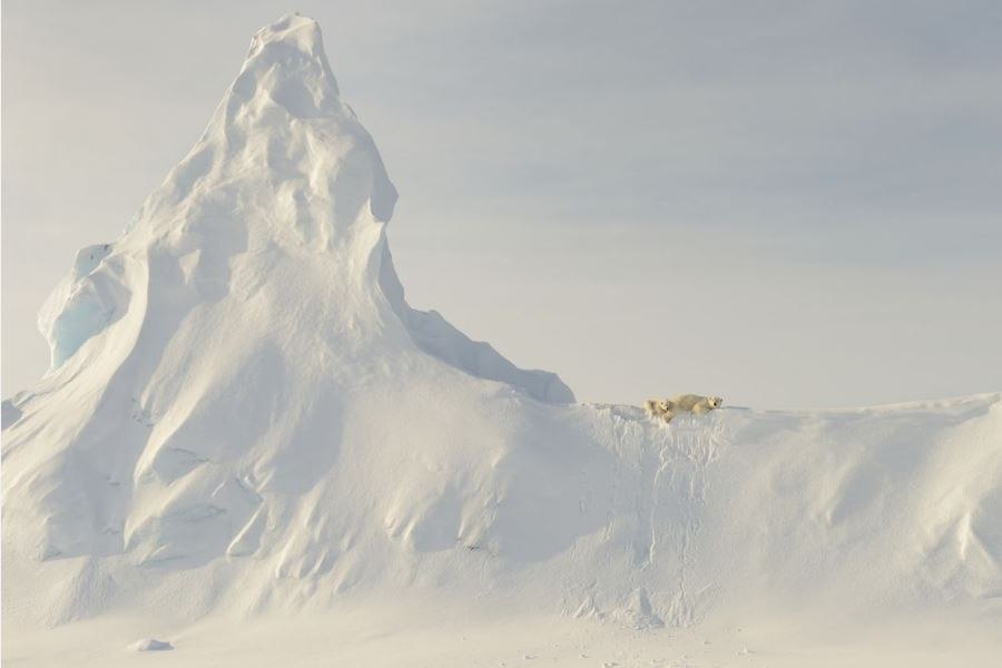  National Geographic Travel Photographer 2016.  ,   ... - 5