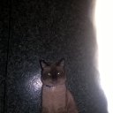 ���� �������, ������, 54 ���� - ��������� 2 ����� 2017 � ������ ���� ����������