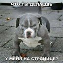 ���� ���������, ������, 46 ��� - ��������� 10 ������� 2016 � ������ ���� ����������