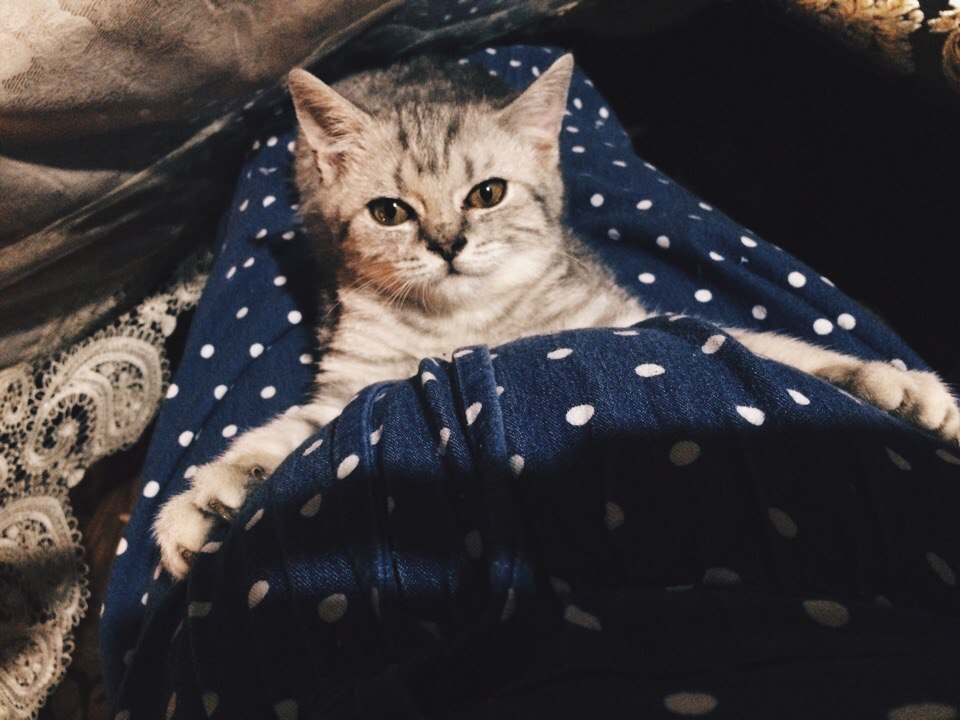  ,  ))))
