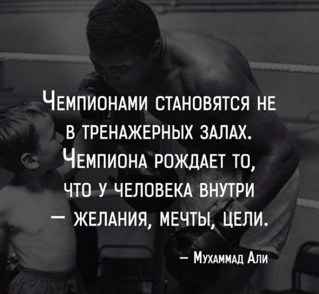 LIFE -  - 14  2017  23:17