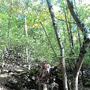 ���� ����, �����������, 64 ���� - ��������� 19 ������� 2017 � ������ ���� ����������