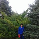 ���� �����, ������, 72 ���� - ��������� 5 ������� 2016 � ������ ���������� ������