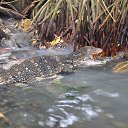 ���� ����, ������������, 59 ��� - ��������� 15 ����� 2017 � ������ ���� ����� 2017�