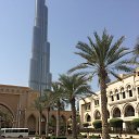 ���� ��������, ����, 50 ��� - ��������� 31 ������� 2016 � ������ ���� ����������
