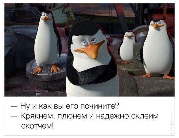  - 8  2017  17:07