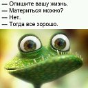 ���� �������, �����-���������, 54 ���� - ��������� 21 ������� 2017 � ������ ���� ����������