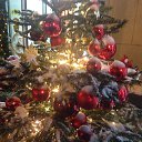 ���� ���, ������ - ��������� 21 ������� 2016 � ������ ���� ����������