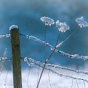  , -, 59  -  21  2016    