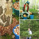 ���� �������, ��������� - ��������� 28 �������� 2016 � ������ ������ ��������