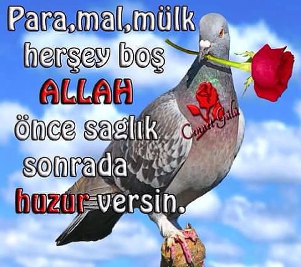  ....... - 3  2017  14:44