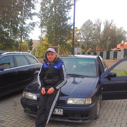 �������, �����������, 41 ���