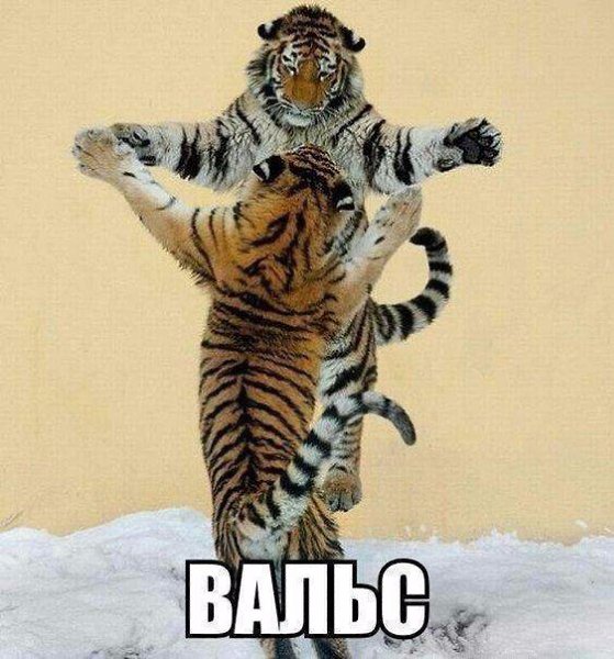 ...��������� :) - 8