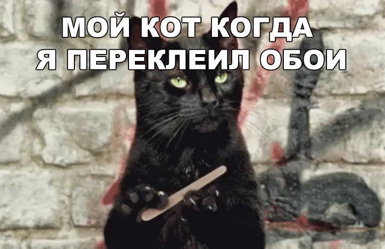    :D - 6  2016  08:32