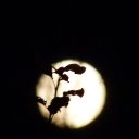 ���� ���, �����-��������� - ��������� 20 ������� 2016 � ������ ���� ������ ������ �� ���� � ����..�������))�