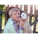 ���� �������, �������, 57 ��� - ��������� 17 ������� 2016 � ������ ���� ����������