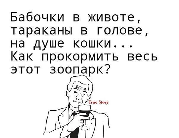    :-) - 6  2016  21:04