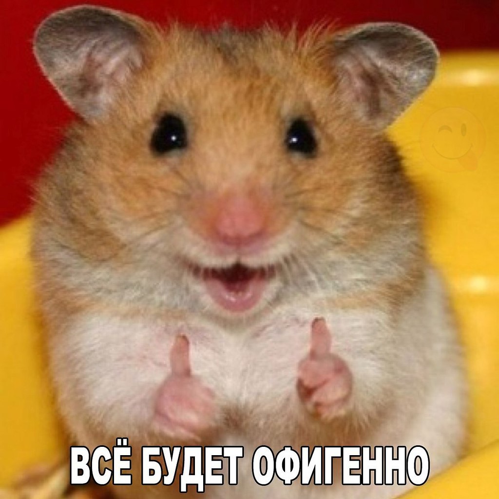    :D - 3  2016  07:30