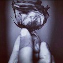  , , 47  -  21  2016   ...