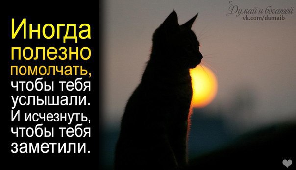    - 2  2016  08:53