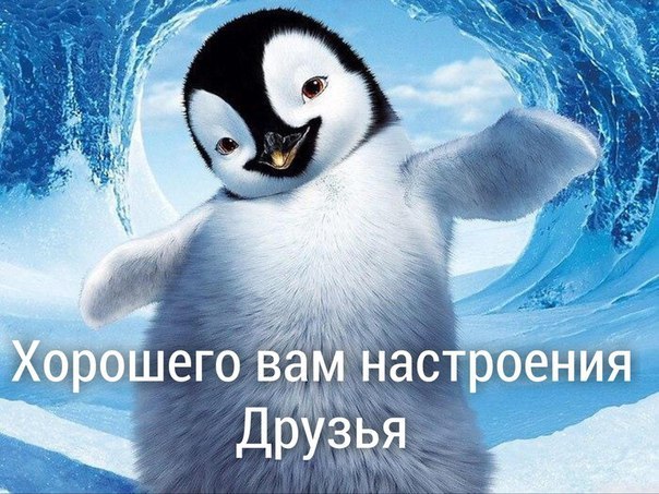    - 22  2016  11:17