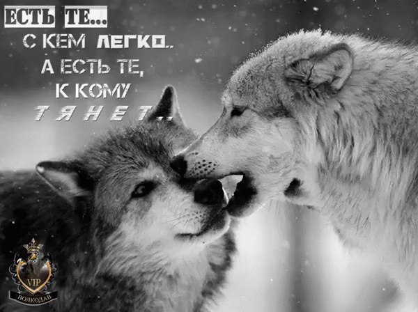  - 19  2016  17:48