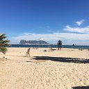  , , 45  -  25  2016   ,  2016