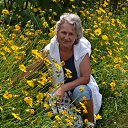 ���� �����, ������, 81 ��� - ��������� 31 ����� 2017 � ������ ���� ����������