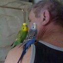 ���� ���������, ���������, 69 ��� - ��������� 8 ������ 2016 � ������ ���� ����������