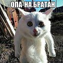 ���� ������, ������ - ��������� 5 ������� 2016 � ������ ��������