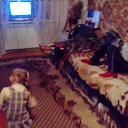 ���� ������� ������� ���������, ������ ��������, 41 ��� - ��������� 18 ������ 2016 � ������ ���� ����������