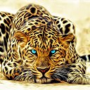���� ����, �������� - ��������� 2 ������ 2017 � ������ ���� ����������