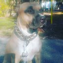 ���� ������, ������, 59 ��� - ��������� 17 ������ 2016 � ������ ���� ����������