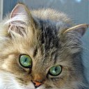 ���� ���, ������, 61 ��� - ��������� 19 ������� 2017 � ������ ���� ����������