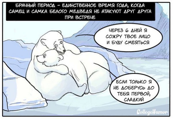   - 5