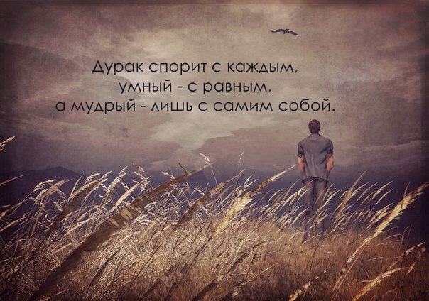  | ,  - 5  2017  17:47