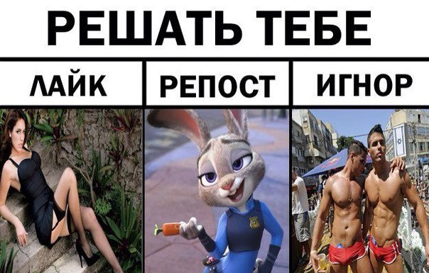   - 6  2017  10:22
